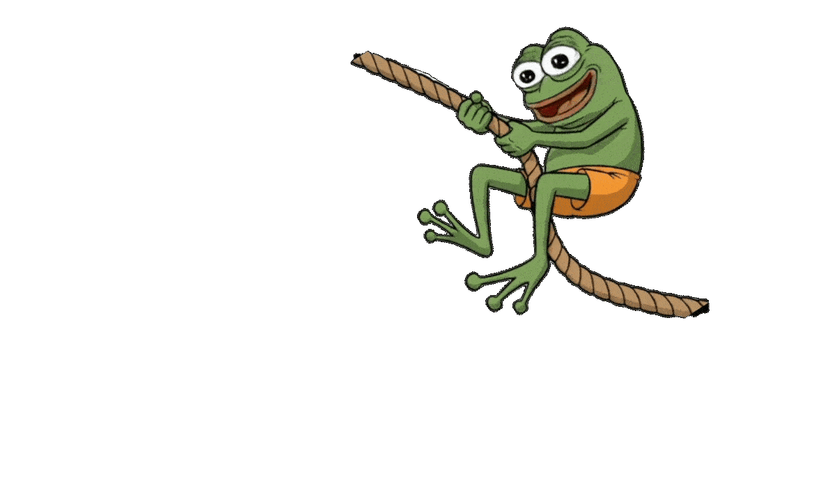 Frog hanging from a rope