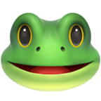 Meme Frog Icon